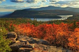 A Day in the Life of a Family with Children in Upstate New York